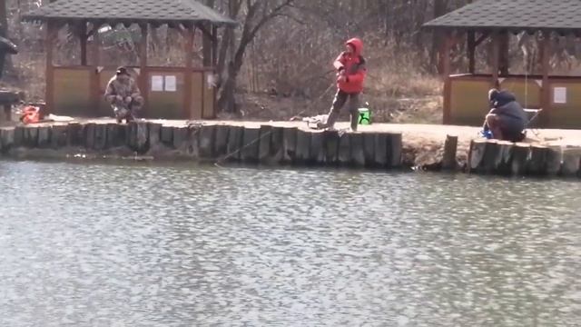 Мисайлово Trout. Продолжаем ловить форель