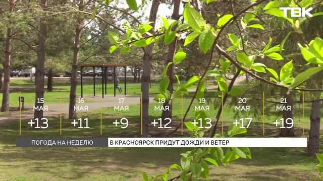 Красноярцев ждет дождливая и прохладная рабочая неделя смотреть онлайн