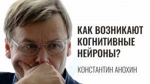 Как возникают когнитивные нейроны? Константин Анохин