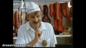Исправляем плохой аппетит у собаки.