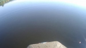 небольшой улов на перемет.mp4