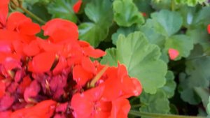 @Гусариха //Переезд// Частный дом