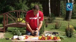 2010 08 17   Плескавица