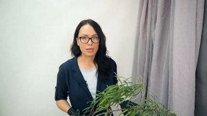 Букет из роз // Новый вид зелени