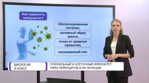Биология. 8 класс. Гуморальный и клеточный иммунитет. Типы лейкоцитов и их функции /24.11.2020/
