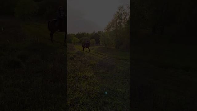 Как и в песенке, про женскую интуицию, а вообще, природа красивая. ?