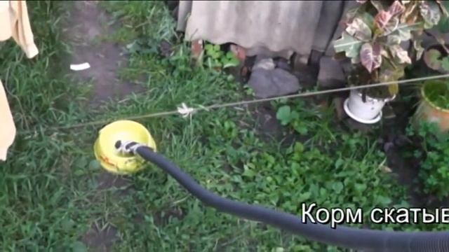 Дозатор корма собакам ПСС смотреть онлайн