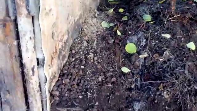 Ящики для куриного помёта ---- компоста. смотреть онлайн