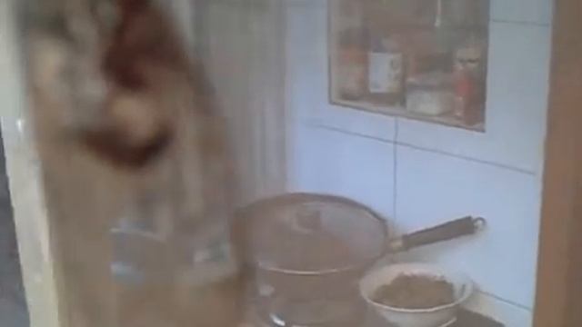 Вы слыхали... КАК ПОЮТ ЦИКАДЫ