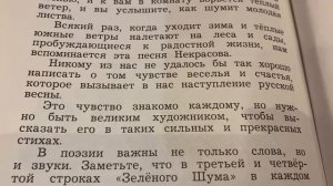 Чтение/3 кл/ К.И.Чуковский «Зелёный шум»/11.12.21