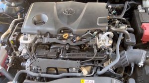 2018-2023 Camry 2.5L (A25A-FKS) Normal Cold Startup Sound