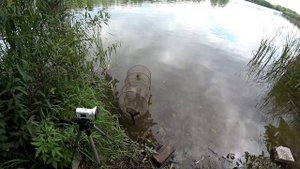 Рыбалка на озере Богородское