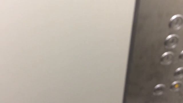 Лифт экомакс с музыкой смотреть онлайн