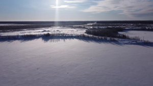 дорога Нягань-Ханты-Мансийск Каменное 4k DJI