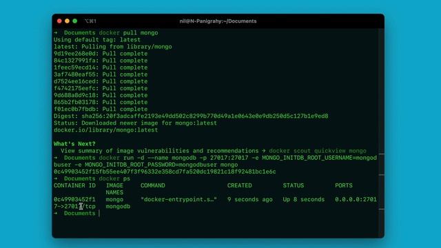 How to Set up MongoDB within a Docker Container смотреть онлайн