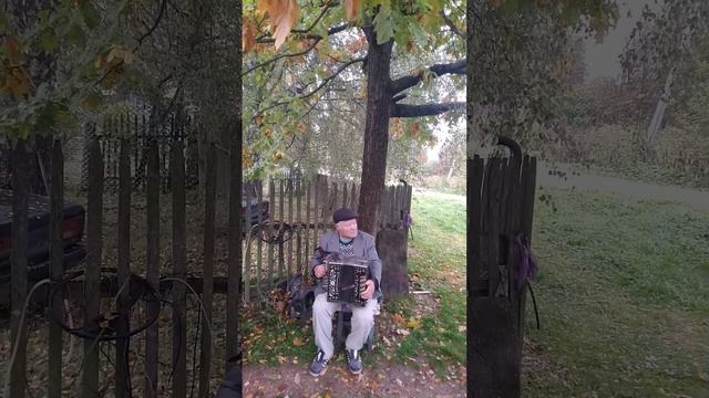 Подприпевочная — А. Козлов, гармонь. Андроново Духовщинского района Смоленской области смотреть онлайн