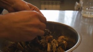 Бульон для получения мицелия. Выращивание белых грибов. Белые грибы на участке. ( вопрос №2)