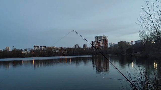 Клёв включили в 20:40.Налим и судак на нарезку. смотреть онлайн