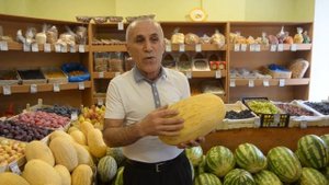 Как выбрать сладкую дыню: инструкция, ри-тв