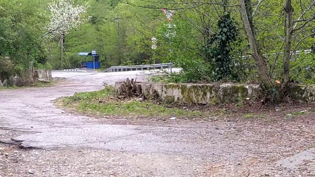 Продажа большого участка в Сочи с видом на горы.
