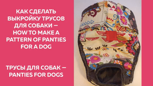 Как сделать выкройку трусов для собаки — How to make a pattern of panties for a dog