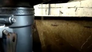 Лодочный мотор Yamaha 4 л. с (лот 47)