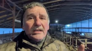 Переработка молока как бизнес