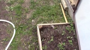 Приготовил ловушки для слизней.