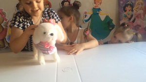 Собачка,которая умеет гавкать и ходить Barking and walking toy dog