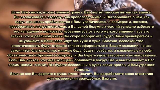 К чему снится змея. Сонник Миллера. Толкование снов.