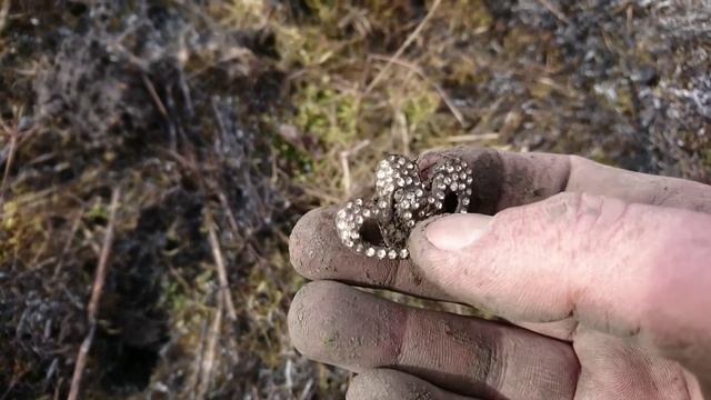 Поднял Фаустину младшую и армейский свисток смотреть онлайн