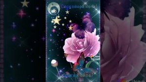 Спокойной ночи ! Сладких снов!