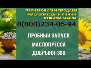 ПРОБНЫЙ ЗАПУСК МАСЛОПРЕССА ДОБРЫНЯ 300.mp4