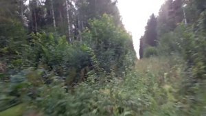 4 часть. Поездка на самодельной дрезине по заброшенной узкоколейной железной дороге. Ужд.