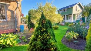 Дизайн сада на 9 сотках.