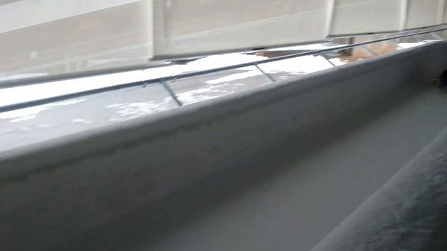 Sigulda Bobsleigh track luge training day смотреть онлайн