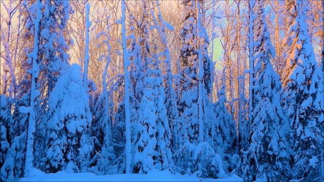 Сказочный зимний лес, муз Сергей Чекалин, чудесная мелодия зимы /märchenhafter Winterwald смотреть онлайн