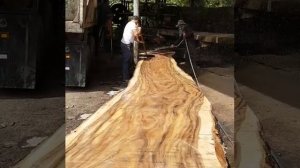 Слэбы из Дерева Экзоты Слэб из Дерева Акация длина 11м