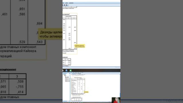 13. Факторный анализ. Интерпретация таблиц из файла «вывод» в #SPSS