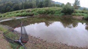 ЛОВЛЯ ЩУКИ НА МЕЛКОВОДЬЕ |  рабочий воблер для этих мест! РЫБАЛКА НА СПИННИНГ ОСЕНЬЮ