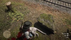 Red Dead Redemption 2-Вторая белая пума возле Анесберга.