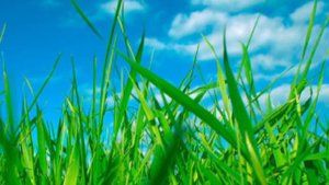 "Мой мир заботится обо мне" аффирмации и положительные установки