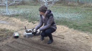 Как посеять овощи и зелень под зиму: пошаговая инструкция для новичков