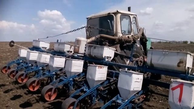 сев подсолнечника, Петуния от Евралис смотреть онлайн