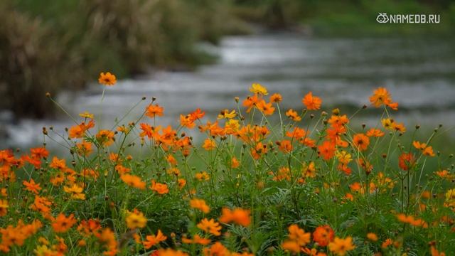 В Мае 2022 людей этих знаков ждёт черная полоса смотреть онлайн