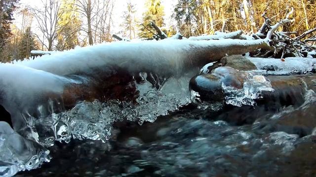 Красота Зимнего Леса. Лесной Ручей.
