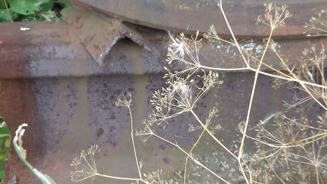 Заброшенные вагоны на бывшем военном полигоне. смотреть онлайн