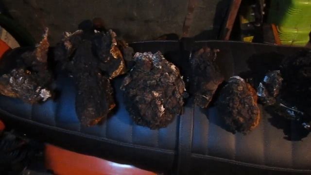 Чага смотреть онлайн