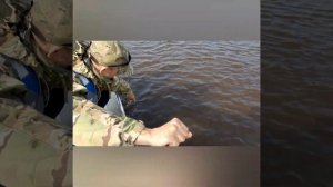 Щука меняет зубы / поклевок много, но реализация никакая / вода опять поднялась и остров утонул