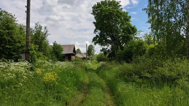 Ясная Поляна 19 июня 2022 г. смотреть онлайн